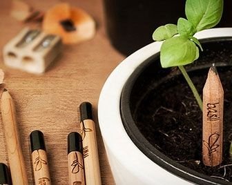 Карандаши, из которых вырастает зелень