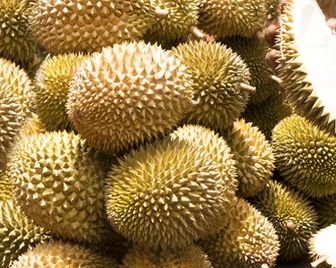 В Великобритании начались продажи дуриана