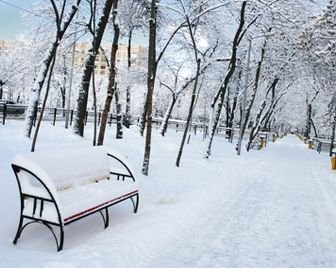 Ученые считают, что ожирение может быть связано с холодным климатом